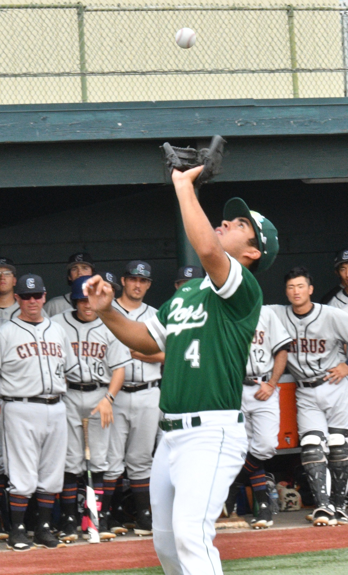 ELAC vs. Citrus