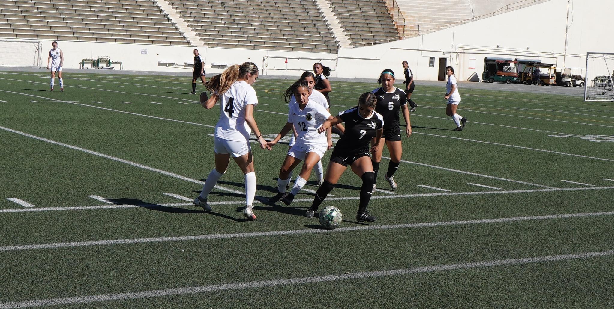 Four Huskies Named to Women's Soccer All-SCC North Team