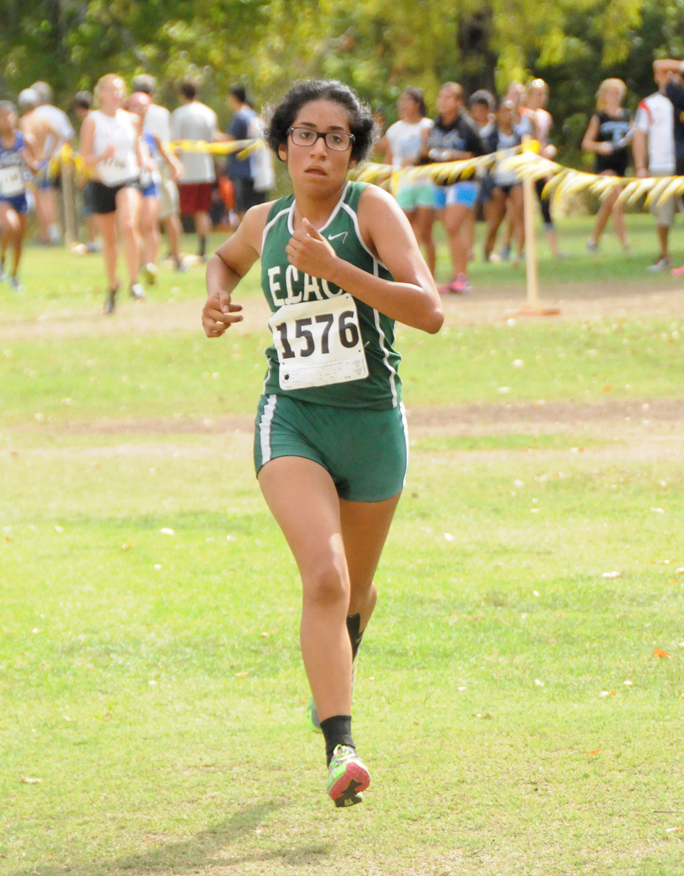 2014-15 Women's Cross Country Photo Gallery